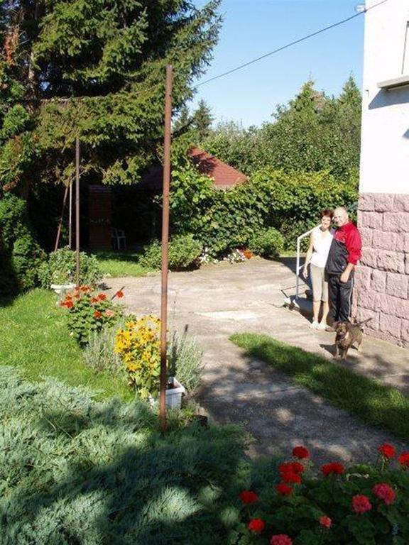 Pallosi Haz "A" Sarvar Bagian luar foto