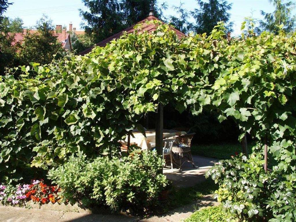 Pallosi Haz "A" Sarvar Bagian luar foto